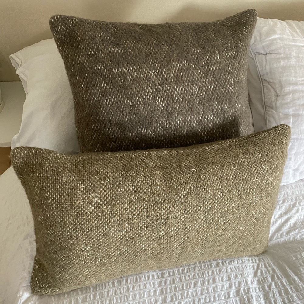 Pottery Barn Light Green Pillow Shams
